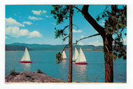 Lake Coeur d'Alene, Idaho, USA - Sailboating Vintage Original Postcard # 4854 - New - 1970's