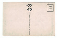 Load image into Gallery viewer, Wot's Fer Chow! - Laff-Gram Vintage Original Postcard # 4858 - 1970's
