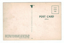 Load image into Gallery viewer, Black Bear, Pennsylvania, USA Vintage Original Postcard # 4870 - New - 1960&#39;s
