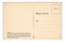 Load image into Gallery viewer, Pelicans, Florida, USA Vintage Original Postcard # 4883 - New - 1960&#39;s
