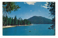 Bass Lake, San Joaquin Valley, California, USA Vintage Original Postcard # 4885 - New 1970's