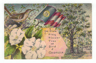 State Flag, Flower and Bird of Georgia, USA Vintage Original Postcard # 4894 - New - 1960's