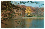 Morton Arboretum, Lisle, Illinois, USA Vintage Original Postcard # 4902 - New - 1960's