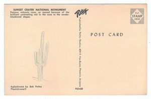 Sunset Crater National Monument, Arizona, USA Vintage Original Postcard # 4906 - New - 1960's