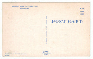 Morning Mist, Vacationland, USA Vintage Original Postcard # 4906 - New - 1960's