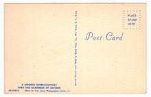Load image into Gallery viewer, Alpine Village, Gaylord, Michigan, USA Vintage Original Postcard # 4908 - New - 1960&#39;s
