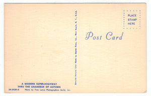 Alpine Village, Gaylord, Michigan, USA Vintage Original Postcard # 4908 - New - 1960's