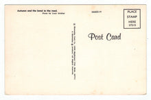 Load image into Gallery viewer, Autumn and the Bend in the Road Vintage Original Postcard # 4909 - New - 1960's
