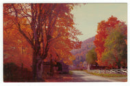 Autumn Splendor Vintage Original Postcard # 4910 - New - 1960's