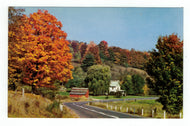 A Pleasing Drive Vintage Original Postcard # 4944 - New - 1960's
