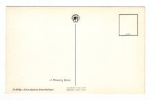 Load image into Gallery viewer, A Pleasing Drive Vintage Original Postcard # 4944 - New - 1960&#39;s
