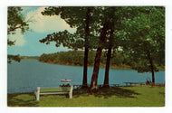 Benet Lake, Wisconsin, USA Vintage Original Postcard # 4946 - New - 1960's