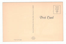 Load image into Gallery viewer, Flaming Foliage Vintage Original Postcard # 4947 - New - 1960's
