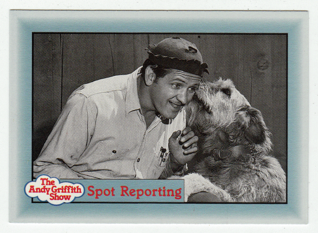 Spot Reporting (Trading Card) The Andy Griffith Show - 1990 Pacific # 231 - Mint