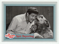 Spot Reporting (Trading Card) The Andy Griffith Show - 1990 Pacific # 231 - Mint