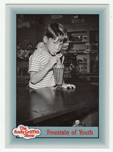 Fountain of Youth (Trading Card) The Andy Griffith Show - 1990 Pacific # 291 - Mint