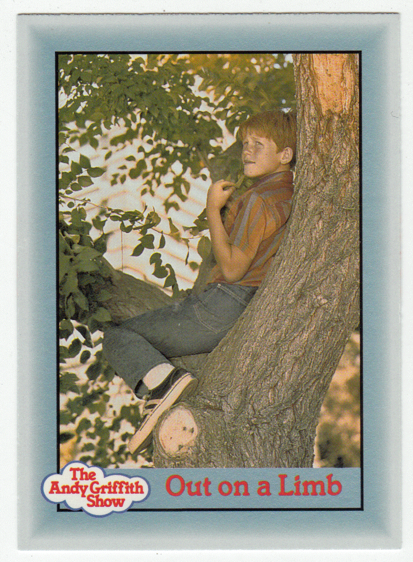 Out on a Limb (Trading Card) The Andy Griffith Show - 1990 Pacific # 316 - Mint