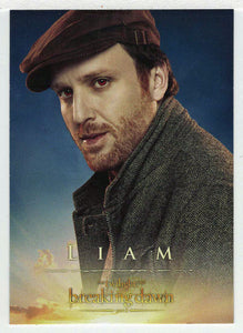 Liam (Trading Card) The Twilight Saga - Breaking Dawn Part 2 - 2012 NECA # 18 - Mint