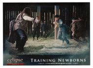 Training Hewborns (Trading Card) The Twilight Saga - Eclipse Part 2 - 2010 NECA # 134 - Mint