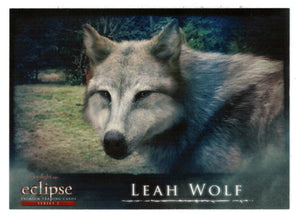 Leah Wolf (Trading Card) The Twilight Saga - Eclipse Part 2 - 2010 NECA # 145 - Mint