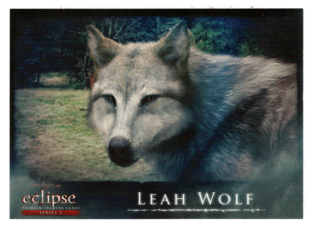 Leah Wolf (Trading Card) The Twilight Saga - Eclipse Part 2 - 2010 NECA # 145 - Mint