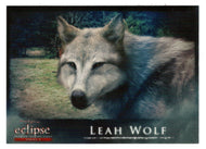 Leah Wolf (Trading Card) The Twilight Saga - Eclipse Part 2 - 2010 NECA # 145 - Mint