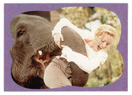 Shep - Here Shep!  Here Boy! (Trading Card) George of the Jungle - 1997 Upper Deck # 13 - Mint