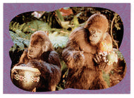 Bongo-Gram (Trading Card) George of the Jungle - 1997 Upper Deck # 14 - Mint
