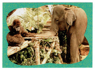 Home-Sick! (Trading Card) George of the Jungle - 1997 Upper Deck # 21 - Mint