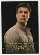 Gale Hawthorne (Trading Card) The Hunger Games: Catching Fire - 2013 NECA # 4 - Mint