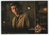 Gale (Trading Card) The Hunger Games: Catching Fire - 2013 NECA # 10 - Mint