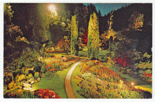 Load image into Gallery viewer, Butchart Gardens, Victoria, British Columbia, Canada Vintage Original Postcard # 0005 - Post Marked June 19 1971
