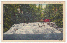 Load image into Gallery viewer, Paradise Falls, Poconos, Pennsylvania, USA Vintage Original Postcard # 0024 - Post Marked July 24, 1939

