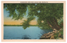 Load image into Gallery viewer, Susquehanna River, Lincoln Park, Milton, Pennsylvania, USA Vintage Original Postcard # 0062 - 1940&#39;s
