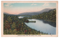 Arnold Trail, Maine, USA Vintage Original Postcard # 0082 - Post Marked July 3, 1938