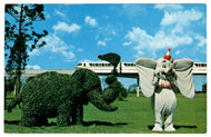 Walt Disney World, Florida, USA - Strolling Topiary Lane Vintage Original Postcard # 0091 - 1980's