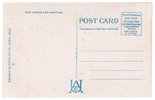 Load image into Gallery viewer, Harvard University, Cambridge, Massachusetts, USA Vintage Original Postcard # 0113 - 1940&#39;s
