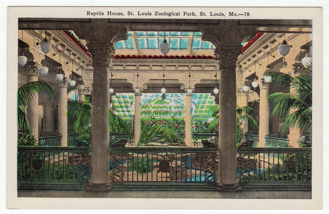 St. Louis Zoological Park, Missouri, USA Vintage Original Postcard # 0114 - New - 1940's