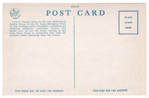 St. Louis Zoological Park, Missouri, USA Vintage Original Postcard # 0114 - New - 1940's