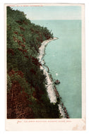 Mackinac Island, Michigan, USA - North Blvd Vintage Original Postcard # 0119 - New 1940's