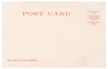Load image into Gallery viewer, Mackinac Island, Michigan, USA - North Blvd Vintage Original Postcard # 0119 - New 1940&#39;s
