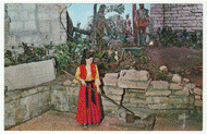 Fountain of Youth, St. Augustine, Florida, USA Vintage Original Postcard # 0122 - New - 1960's