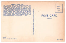 Load image into Gallery viewer, Summit, Cajon Pass, California, USA Vintage Original Postcard # 0133 - New 1960's
