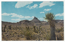 Load image into Gallery viewer, Desert Country, California, USA Vintage Original Postcard # 0137 - New 1960&#39;s

