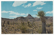 Desert Country, California, USA Vintage Original Postcard # 0137 - New 1960's