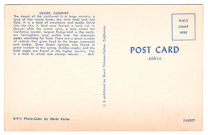 Desert Country, California, USA Vintage Original Postcard # 0137 - New 1960's
