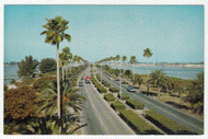 Clearwater's Memorial Causeway, Miami, Florida, USA Vintage Original Postcard # 0146 - New - 1960's