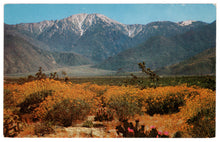 Load image into Gallery viewer, Snow Capped Mountain Peaks, California, USA Vintage Original Postcard # 0148 - New 1960&#39;s
