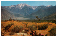 Snow Capped Mountain Peaks, California, USA Vintage Original Postcard # 0148 - New 1960's