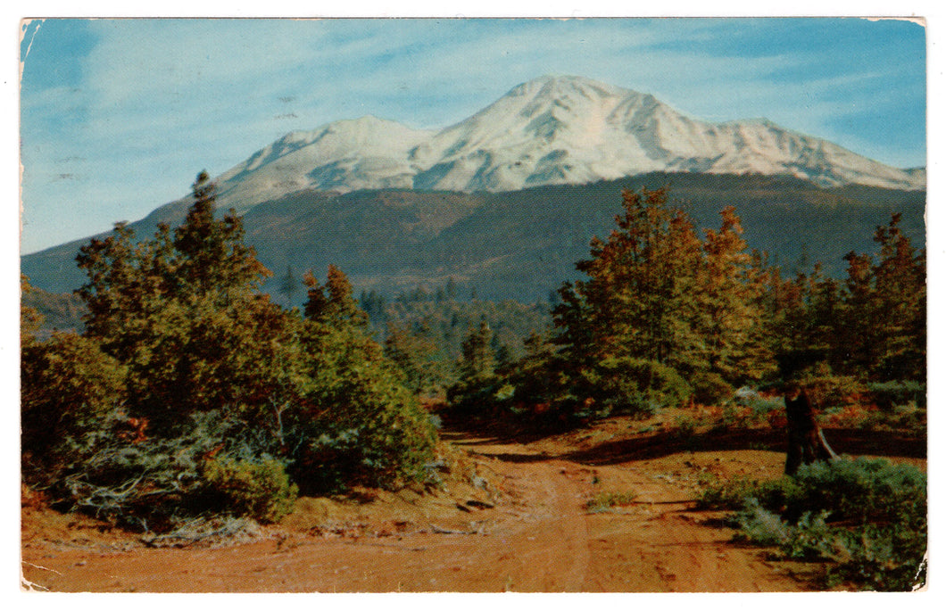 Mt. Shasta, California, USA Vintage Original Postcard # 0151 - Post Marked August 19, 1959